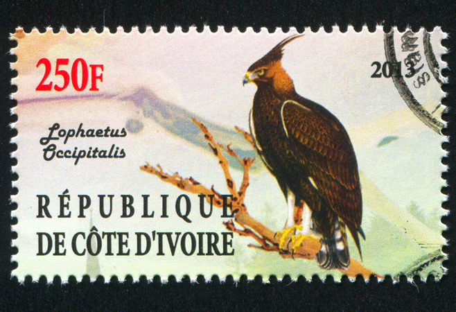 An IvoryCoast stamp printed shows a long-crested eagle