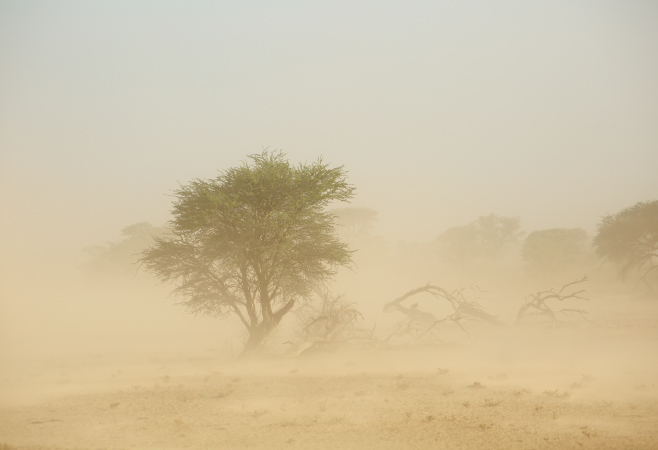 Avoid extreme temperatures that may affect comfort and travel plans.