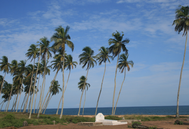 Discover the top things to do in Jacqueville for visitors