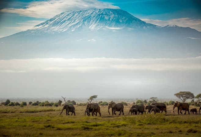 Mount Kilimanjaro