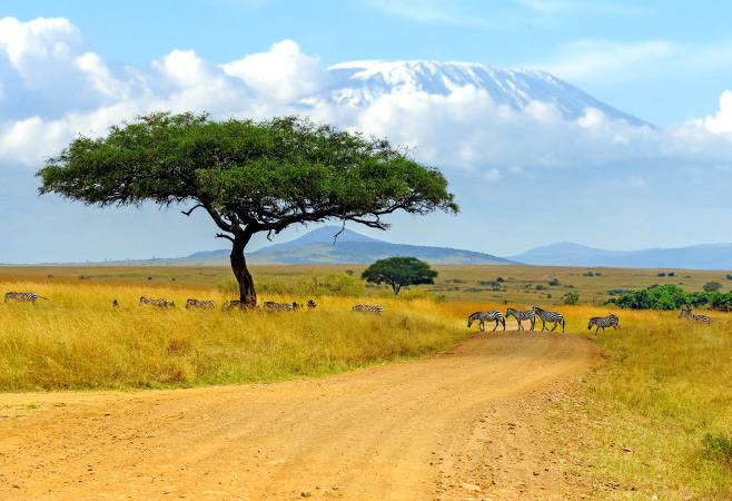 Visit Mount Kenya National Park: Marvel at Africa’s cultural and natural marvels—UNESCO Sites that deserve a spot on your bucket list