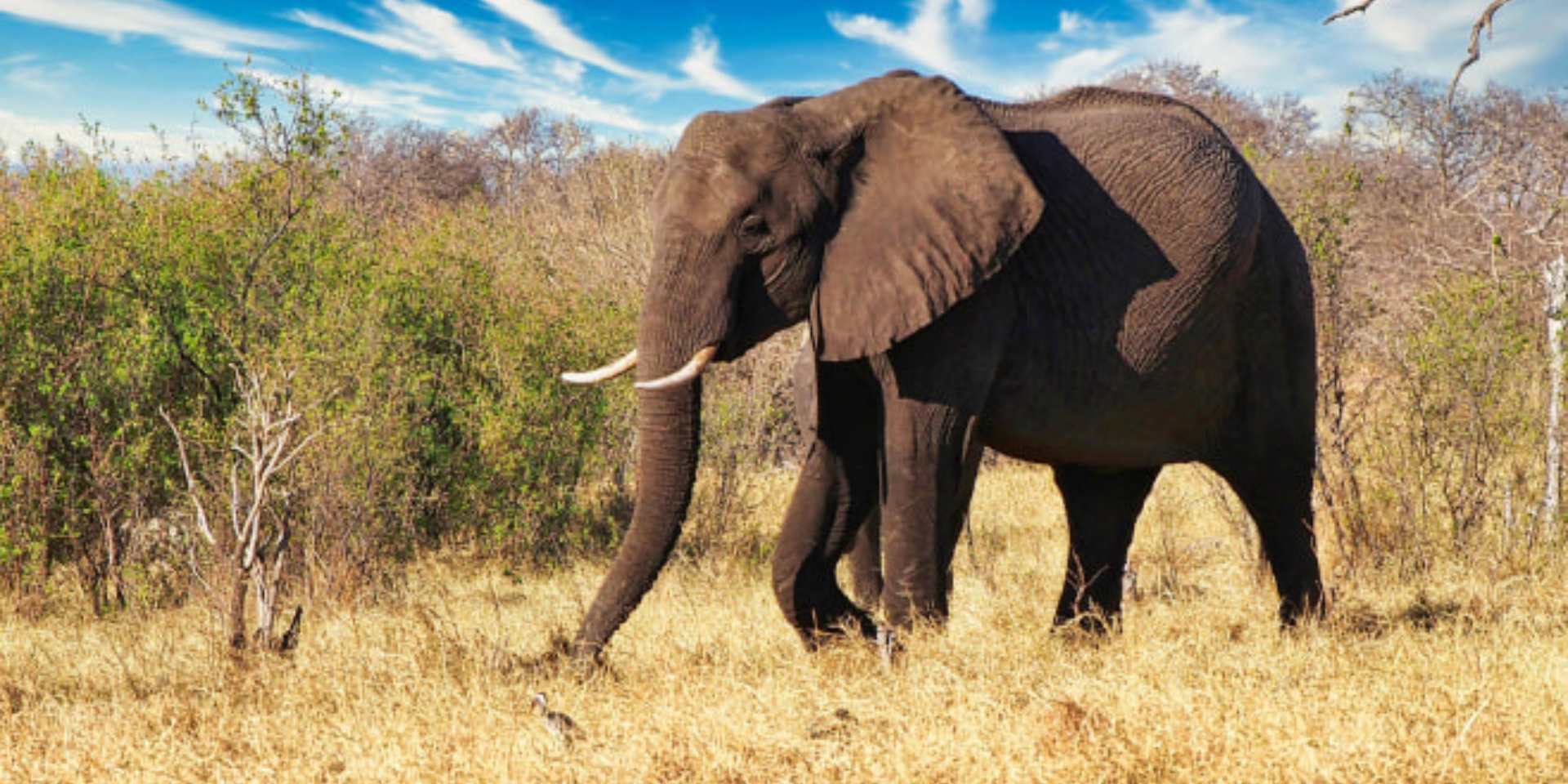 Top Outdoor Activities to Experience in the Ivory Coast