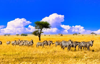 Best African Landmarks: The Most Famous Natural & Historic Attractions You Should Visit