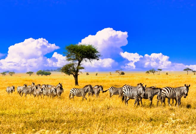 Serengeti National Park