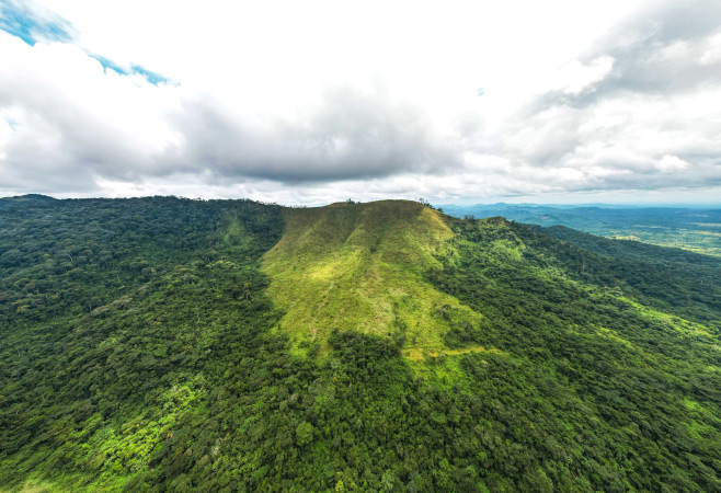 Mount Nimba has the most spectacular and untouched views in West Africa